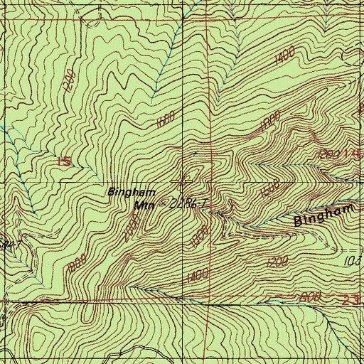 Topographic Map of Bingham Mountain, OR
