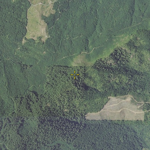 Aerial/Satellite Image of Bingham Mountain, OR