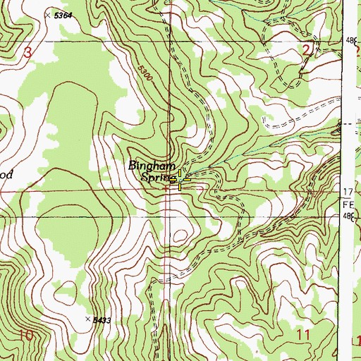 Topographic Map of Bingham Spring, OR