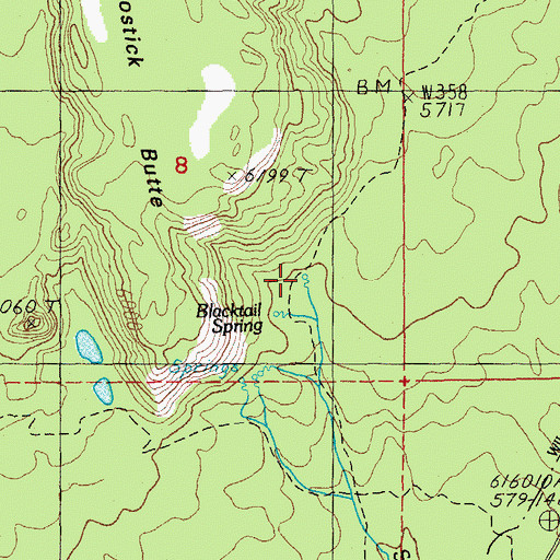 Topographic Map of Blacktail Spring, OR