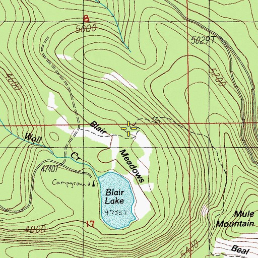 Topographic Map of Blair Meadows, OR