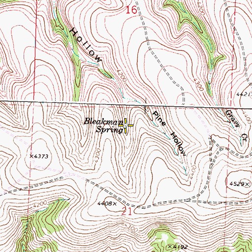 Topographic Map of Bleakman Spring, OR