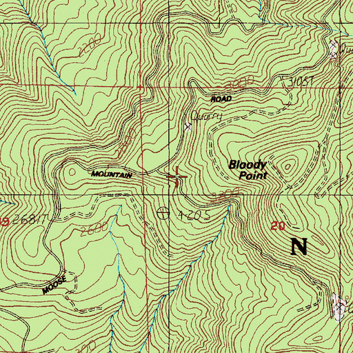 Topographic Map of Bloody Point, OR