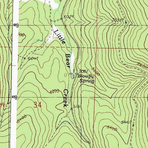 Topographic Map of Blowfly Spring, OR