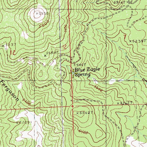 Topographic Map of Blue Eagle Spring, OR