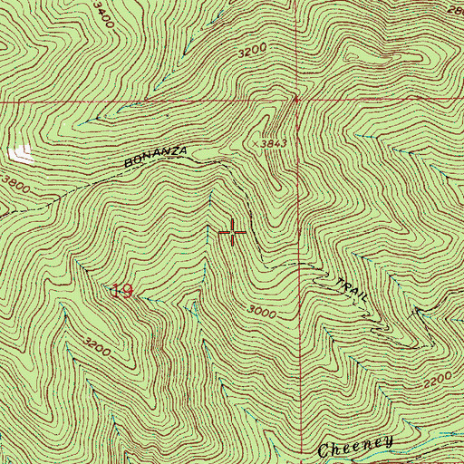 Topographic Map of Bonanza Trail, OR