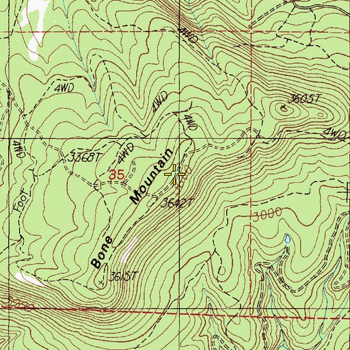 Topographic Map of Bone Mountain, OR