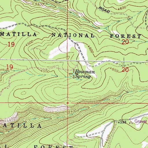 Topographic Map of Bowman Spring, OR