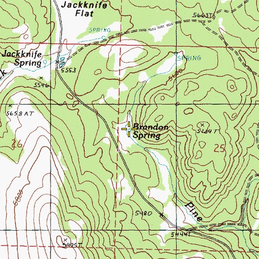Topographic Map of Brandon Spring, OR