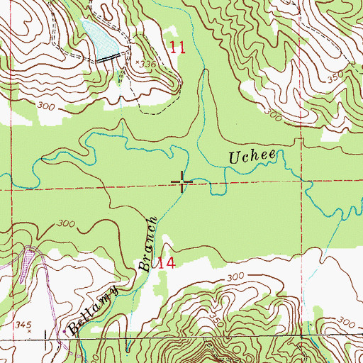 Topographic Map of Bellamy Branch, AL