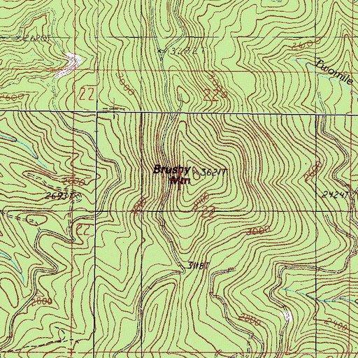 Topographic Map of Brushy Mountain, OR