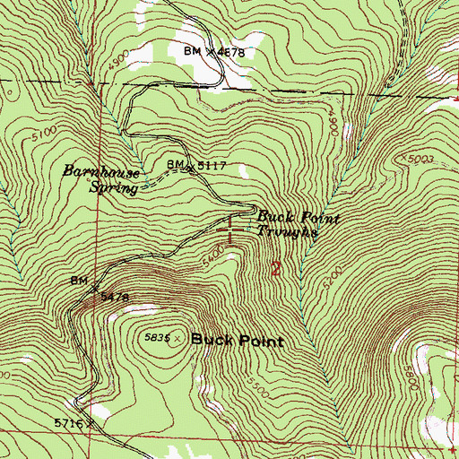 Topographic Map of Buck Point Troughs, OR