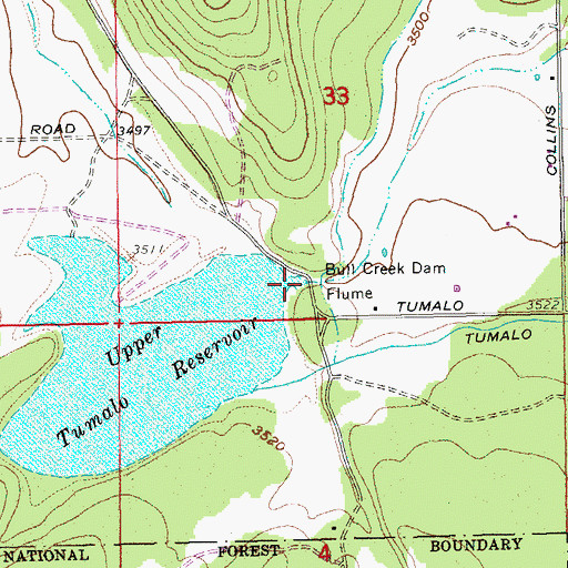 Topographic Map of Bull Creek Dam, OR