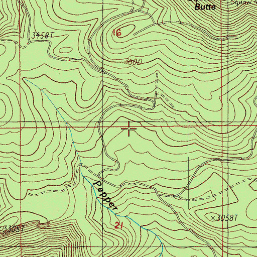 Topographic Map of Bunchgrass Trail, OR