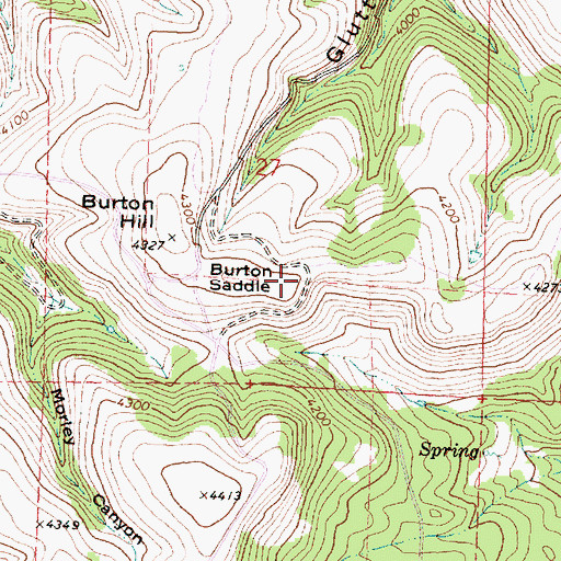 Topographic Map of Burton Saddle, OR