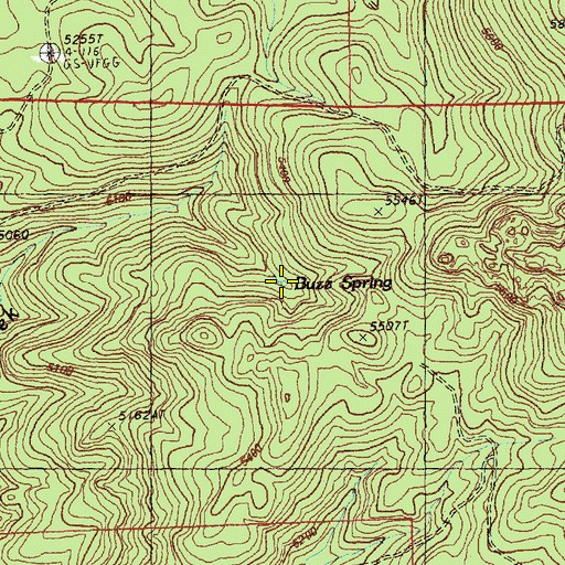 Topographic Map of Buzz Spring, OR