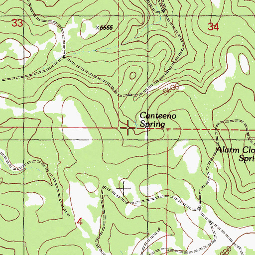 Topographic Map of Canteeno Spring, OR