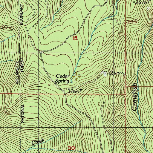 Topographic Map of Cedar Spring, OR