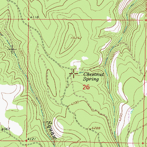 Topographic Map of Chestnut Spring, OR