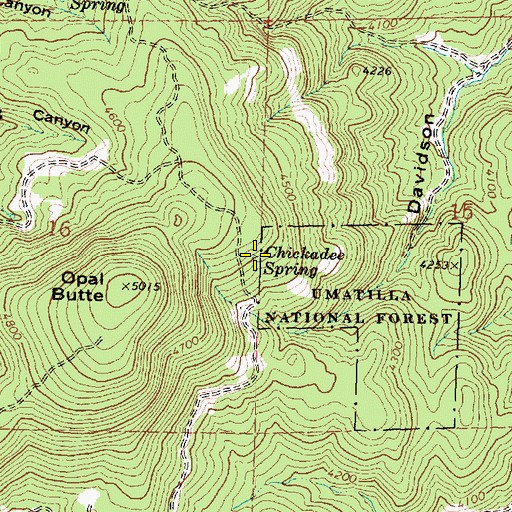 Topographic Map of Chickadee Spring, OR