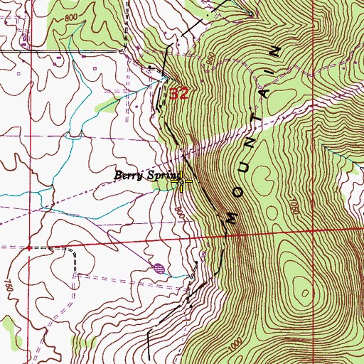 Topographic Map of Berry Spring, AL