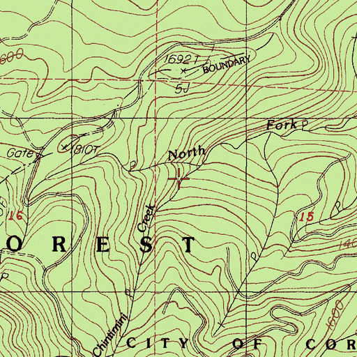 Topographic Map of Chintimini Creek, OR