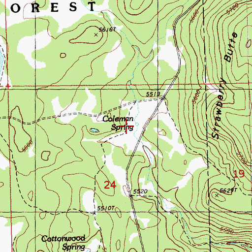 Topographic Map of Coleman Spring, OR