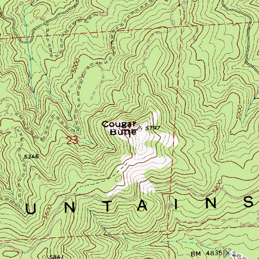 Topographic Map of Cougar Butte, OR