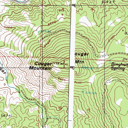 Topographic Map of Cougar Mountain, OR