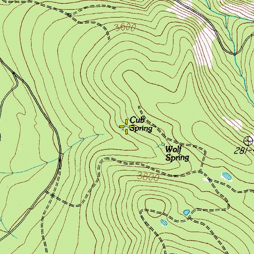 Topographic Map of Cub Spring, OR