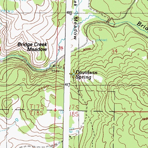 Topographic Map of Davidson Spring, OR