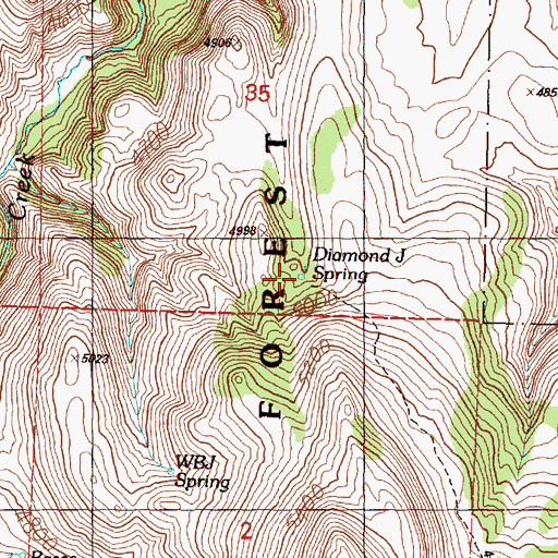 Topographic Map of Diamond J Spring, OR