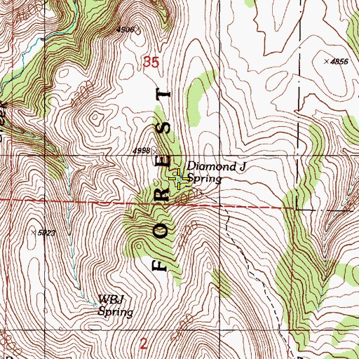 Topographic Map of Diamond J Spring, OR