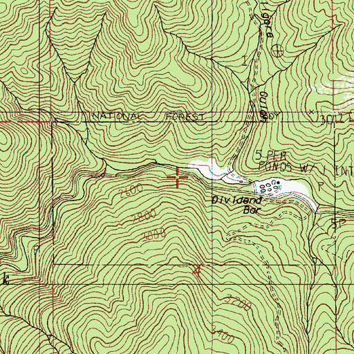 Topographic Map of Dividend Bar, OR
