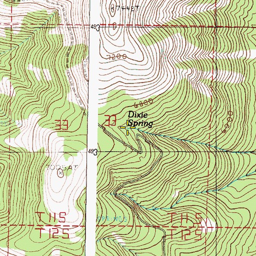 Topographic Map of Dixie Spring, OR