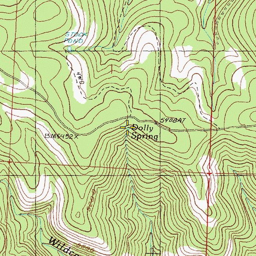 Topographic Map of Dolly Spring, OR