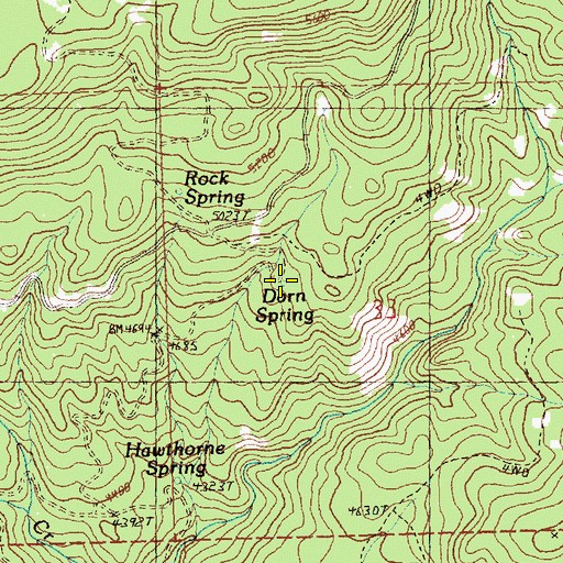 Topographic Map of Dorn Spring, OR