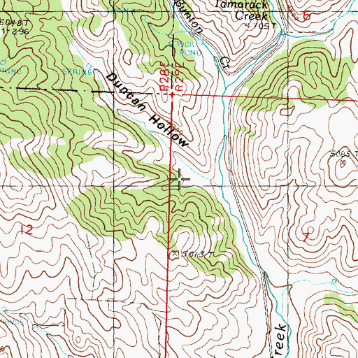 Topographic Map of Duncan Hollow, OR