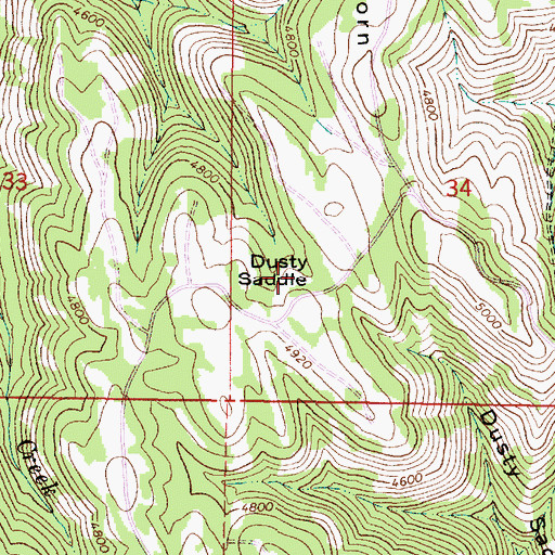 Topographic Map of Dusty Saddle, OR