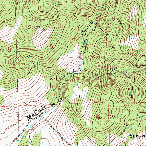 Topographic Map of East Fork McCoin Creek, OR