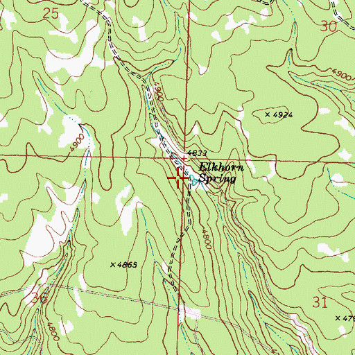Topographic Map of Elkhorn Spring, OR