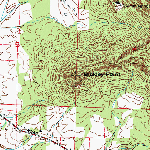 Topographic Map of Bickley Point, AL
