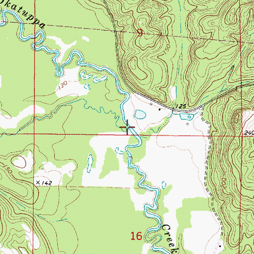 Topographic Map of Biddys Creek, AL