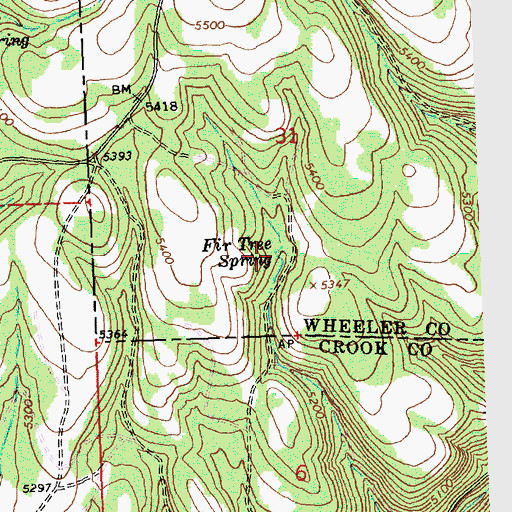 Topographic Map of Fir Tree Spring, OR