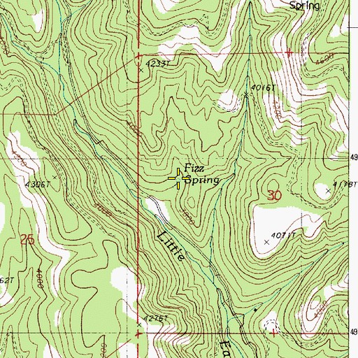 Topographic Map of Fizz Spring, OR