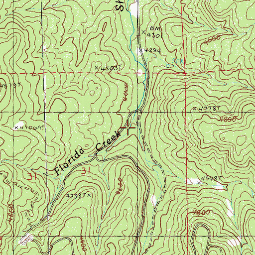 Topographic Map of Florida Creek, OR