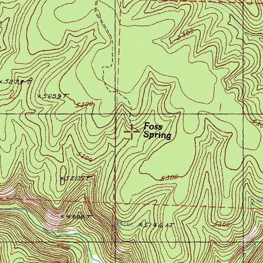 Topographic Map of Foss Spring, OR