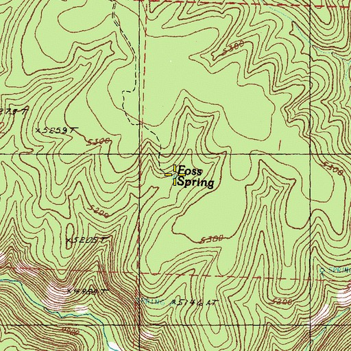Topographic Map of Foss Spring, OR