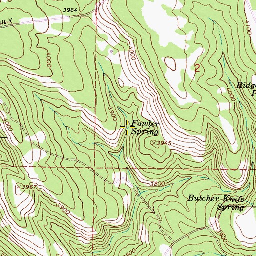 Topographic Map of Fowler Spring, OR