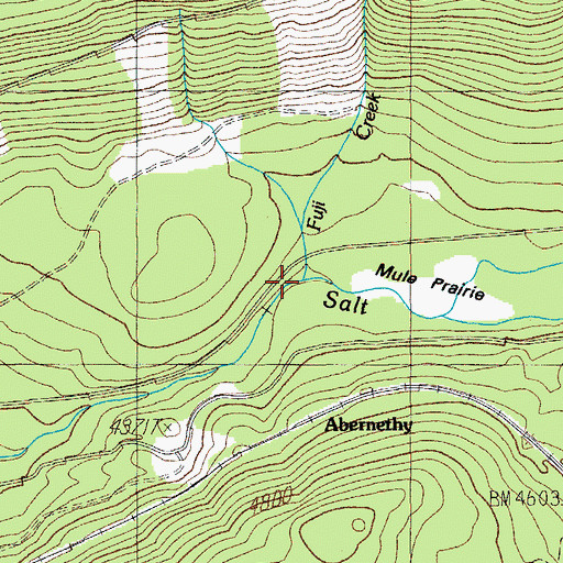 Topographic Map of Fuji Creek, OR